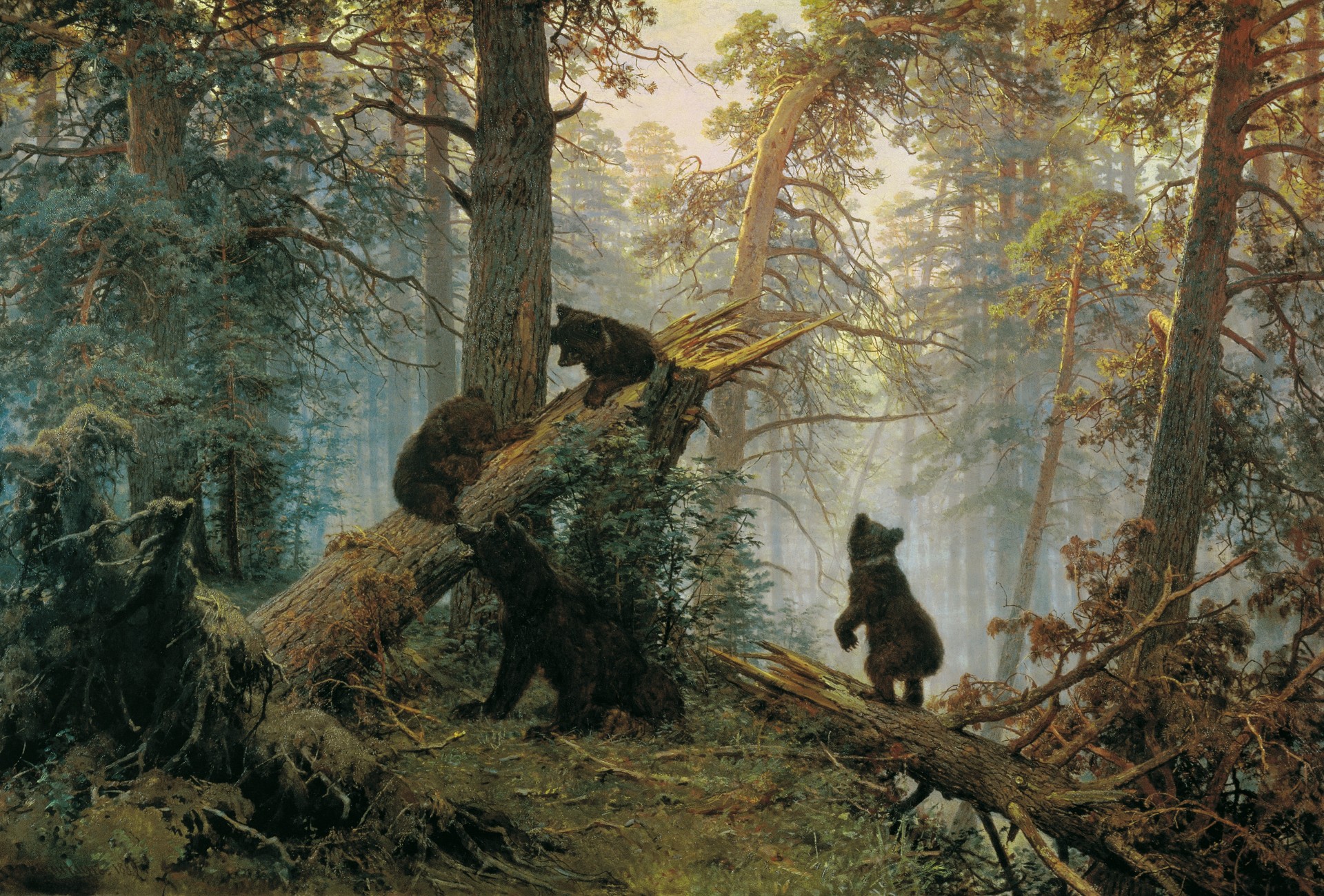 ours matin dans la forêt de pins forêt ivan ivanovich shishkin