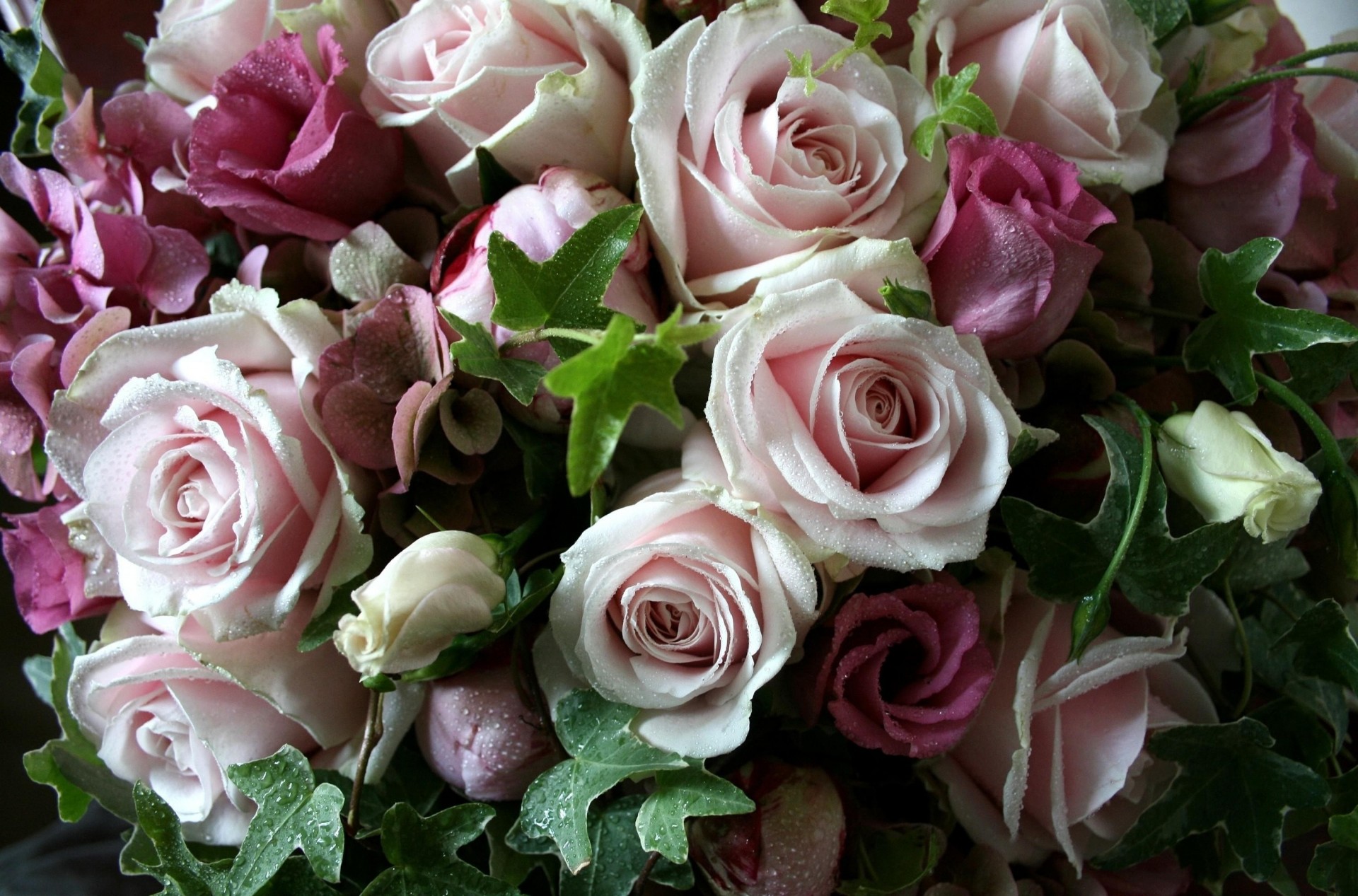 blatt fällt rosen frische blumenstrauß blumen