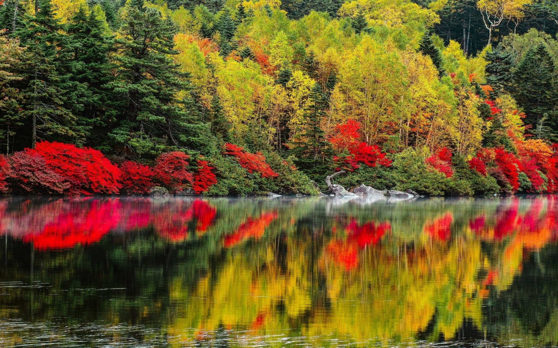 paisaje naturaleza lago árboles bosques otoño