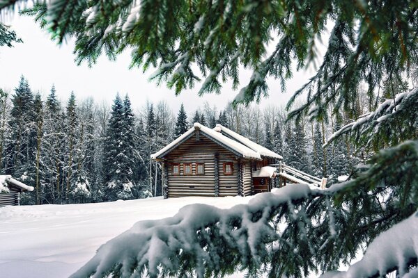 Wooden hut in the middle of a winter forest