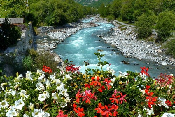 The flower-strewn bank of the mountain river flowing through the village