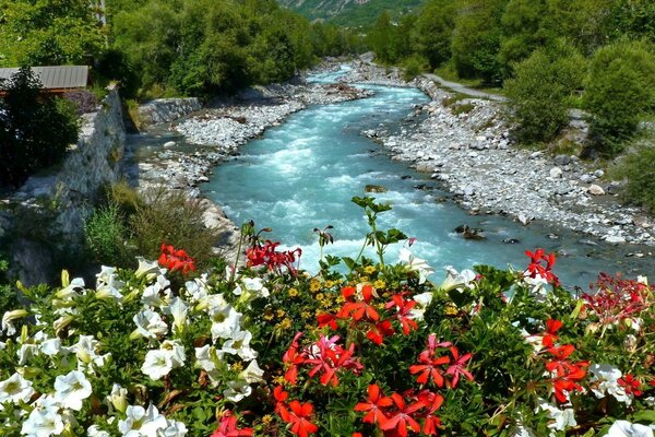 La riva di un fiume di montagna cosparso di fiori che scorre attraverso il villaggio