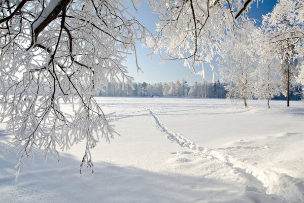 Winter landscape, sunny day, a path trodden through a snow-covered field