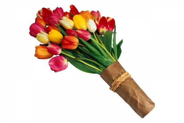 A bright bouquet of tulips on a white background