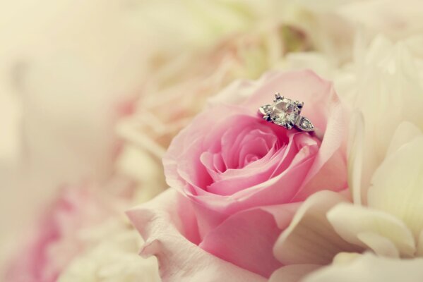Imagen de la oferta de la mano y del corazón con el anillo y la rosa