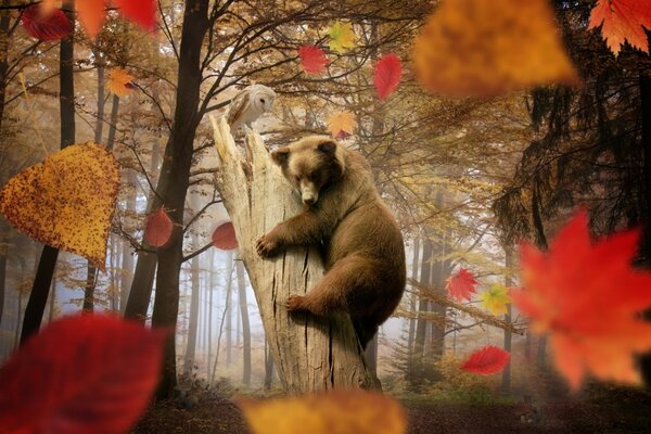 A bear cub and an owl in the autumn forest