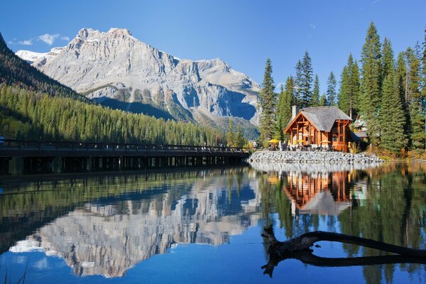 Bella vista dalla casa sul lago