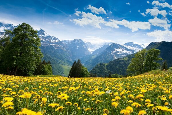 Die Natur in den Alpen ist sehr schön
