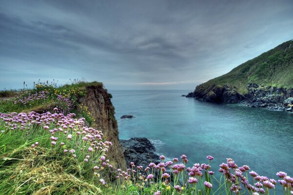 Landscape sky rock flowers