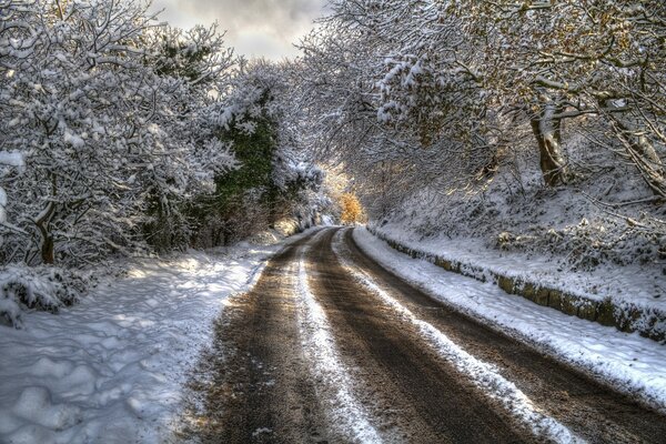 Camino de invierno en el bosque cubierto de nieve