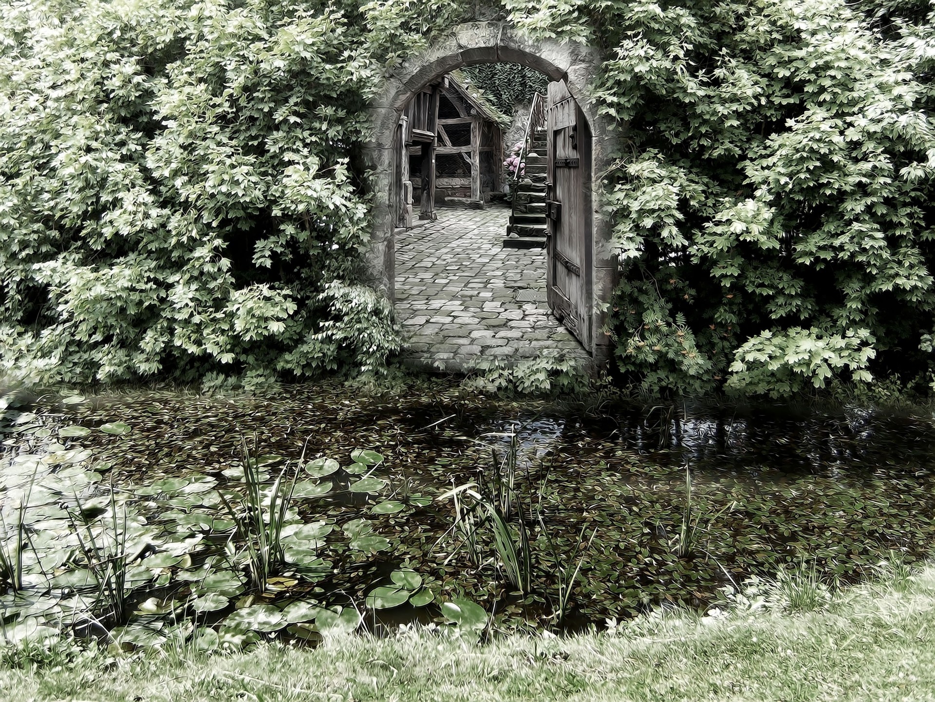 arch pond nature bush