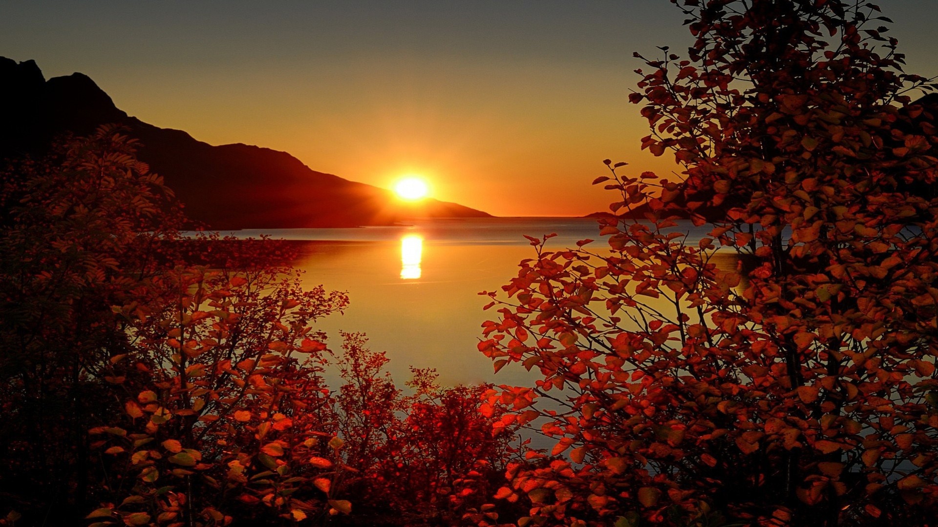 blatt landschaft sonnenuntergang natur see bäume sonne berge