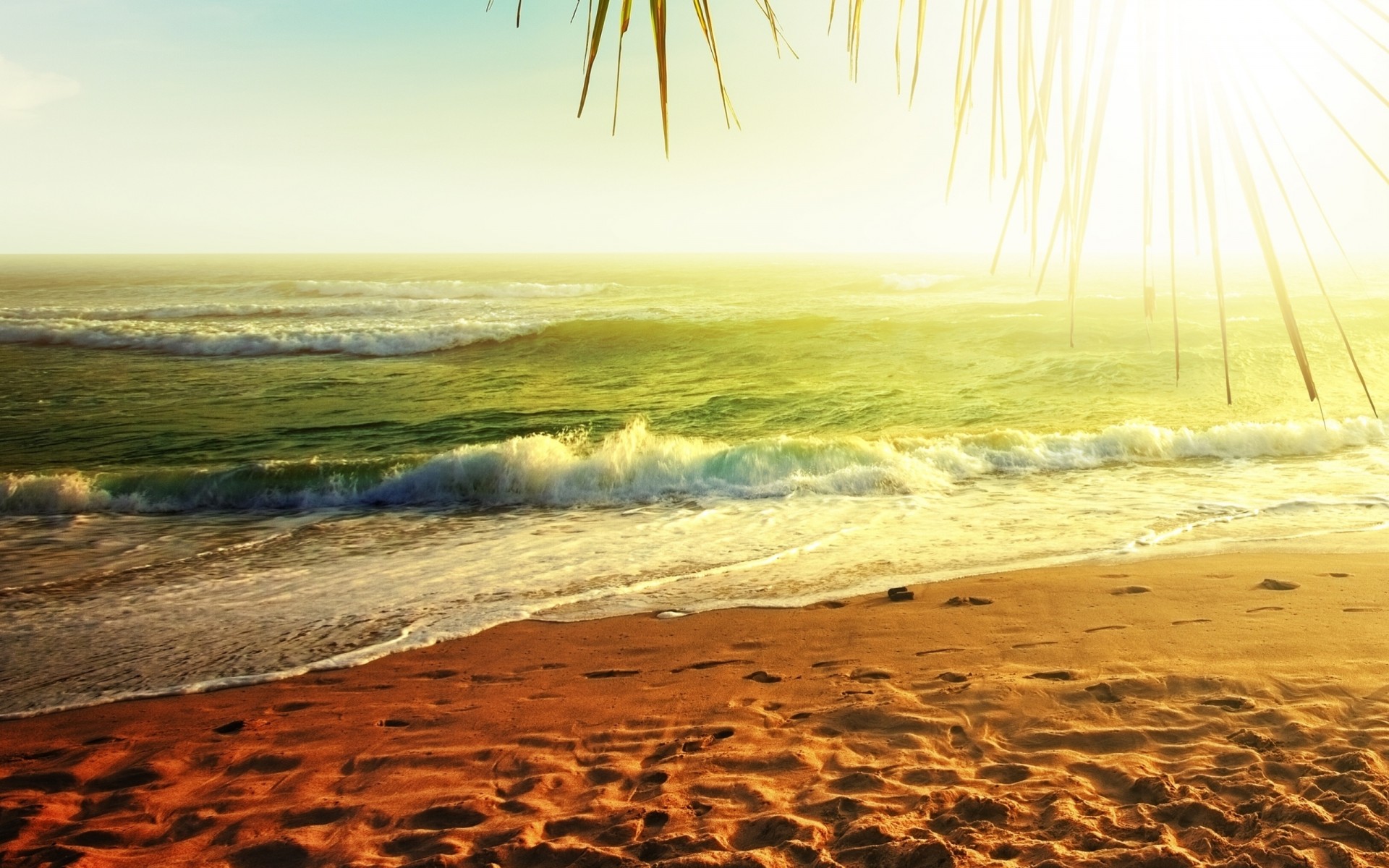 nature ocean coast beach water sea landscape sand