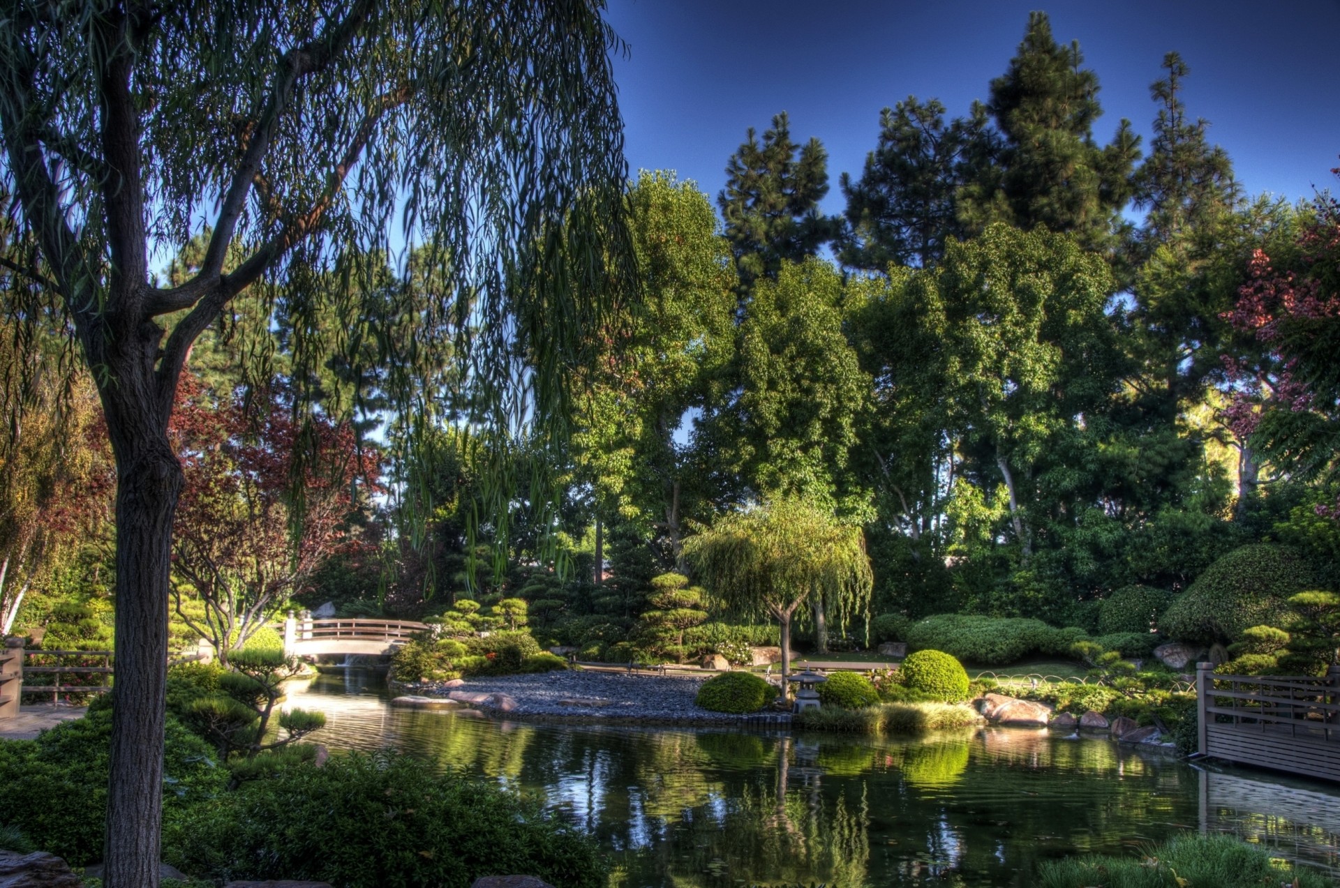 himmel bäume garten teich brücke