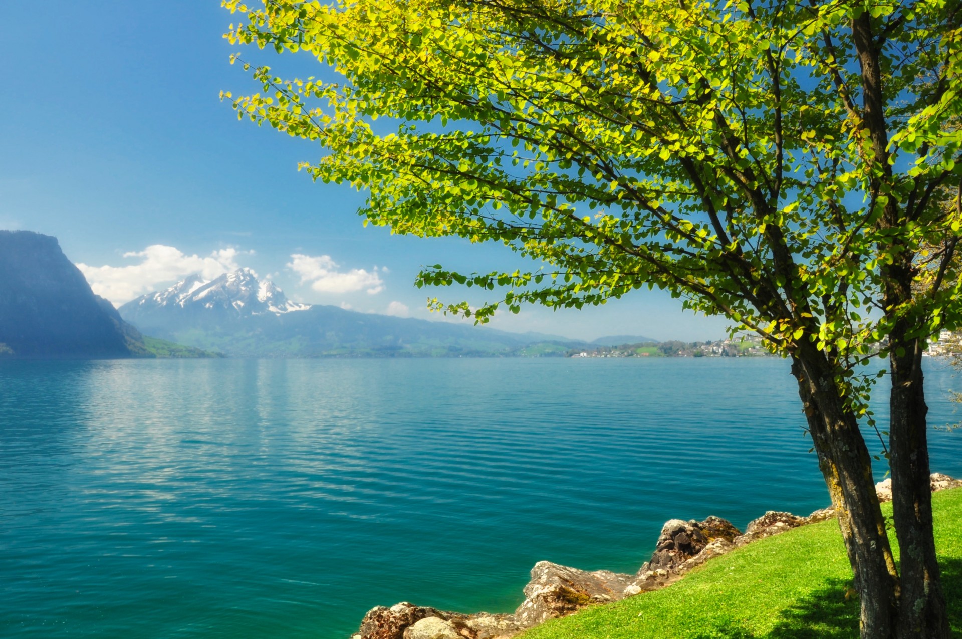 fluss baum see ufer sonnig berge