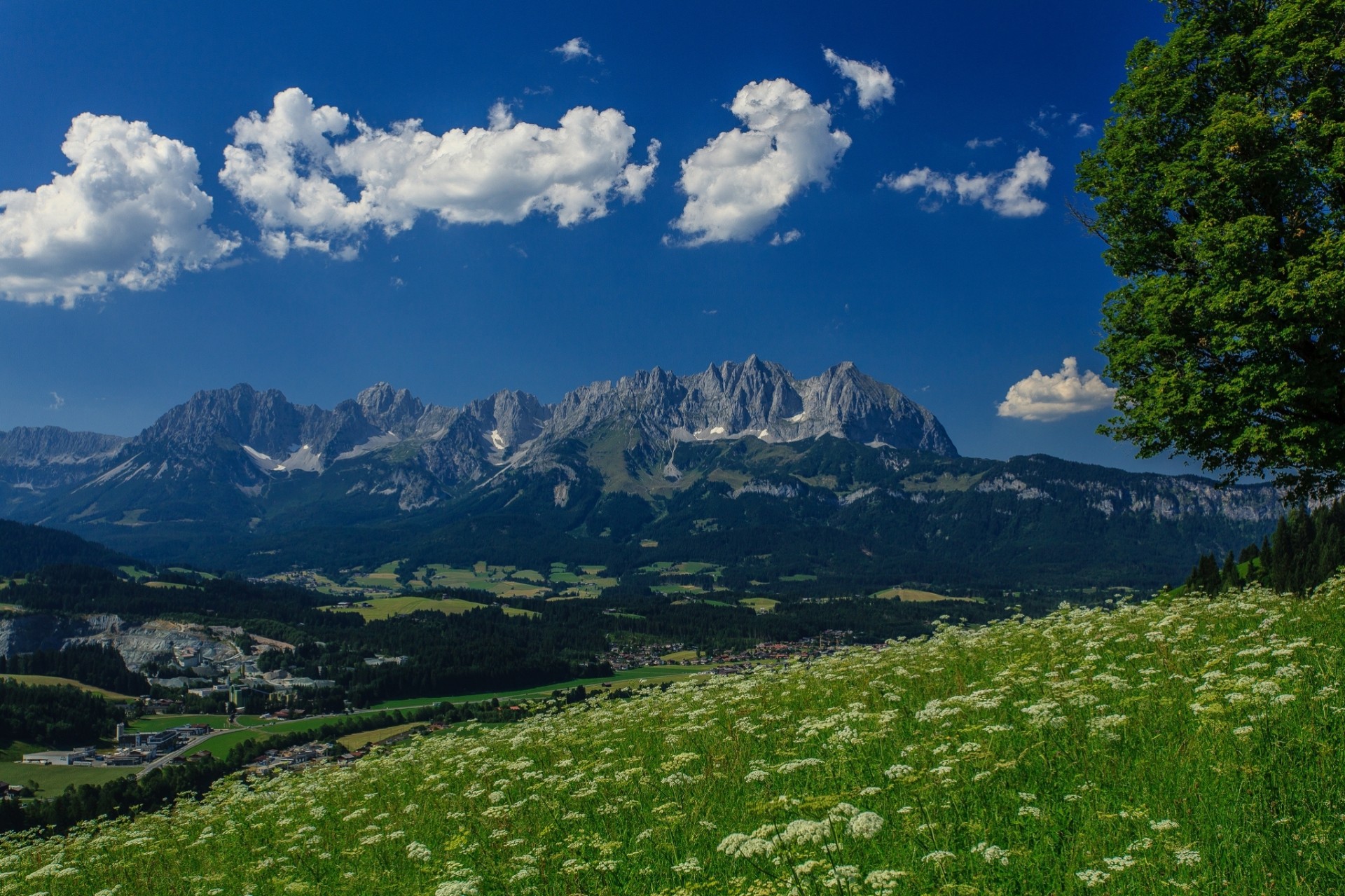 árbol alpes panorama wilder kaiser montaña wilder kaiser hallstatt montañas austria prado