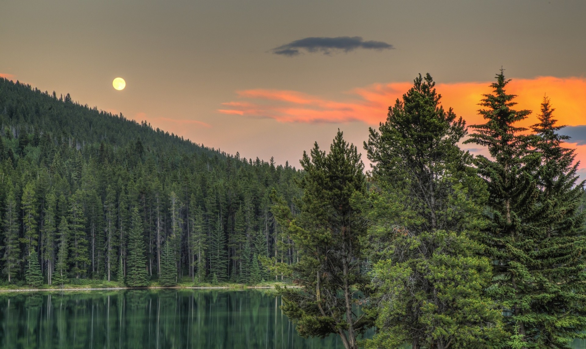 unset alberta lake forest canada banff national park banff tree