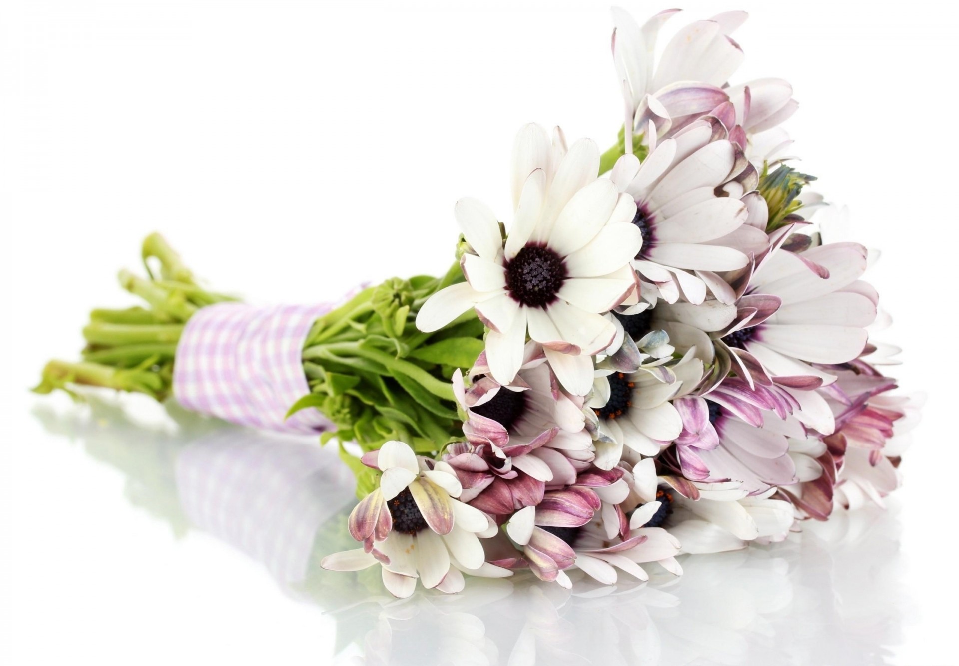 bouquet white background flower