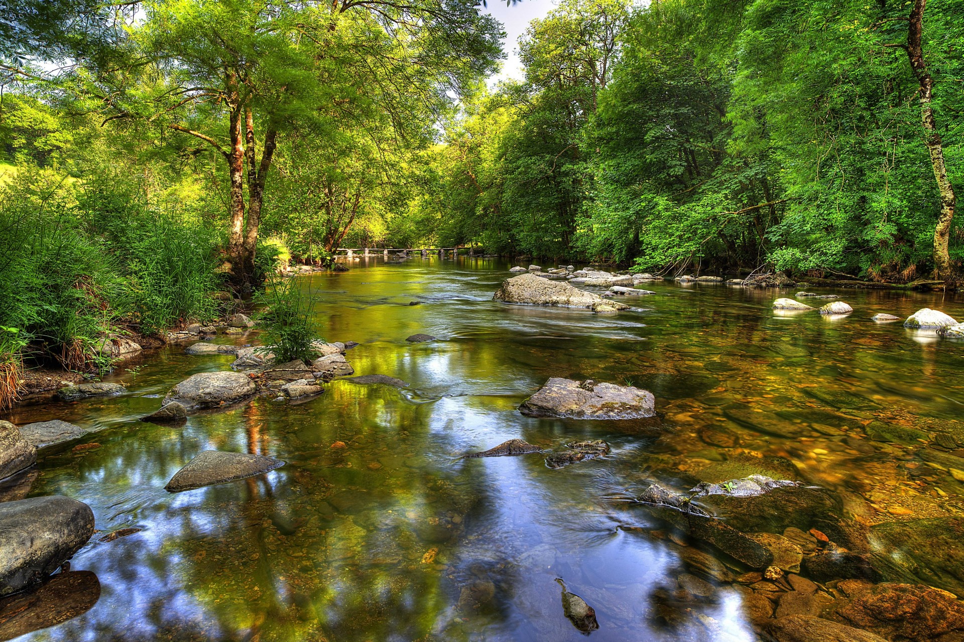 arbres paysage rivière