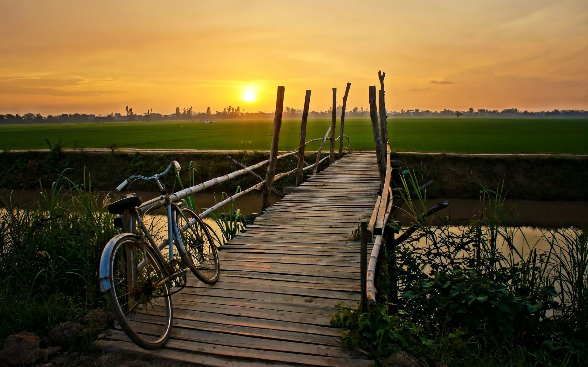 sol paisaje verano horizonte bicicleta