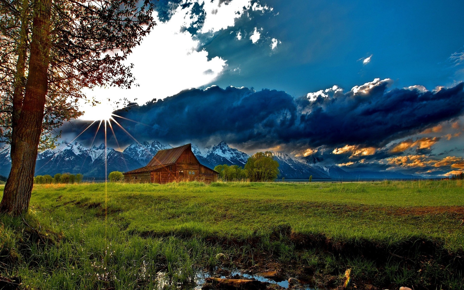 clouds tree grass sky the field mountain