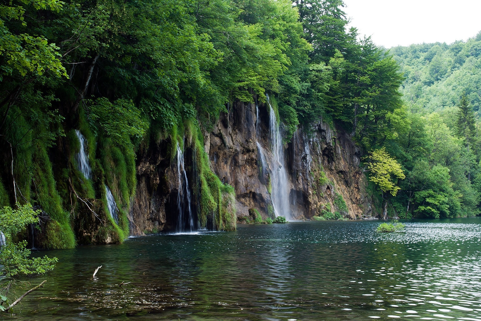 arbres paysage roches rivière cascade