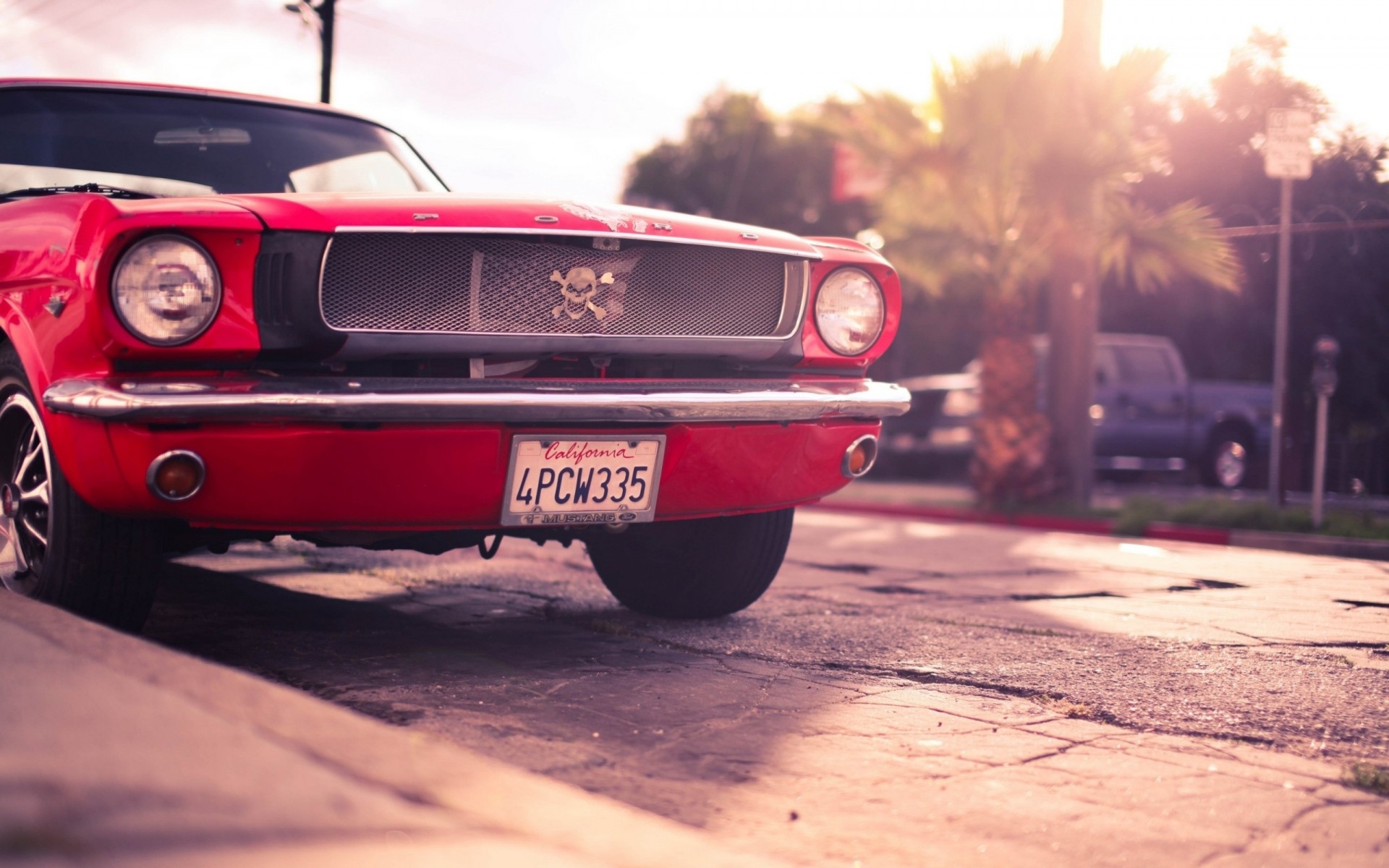 mustang auto ford rouge