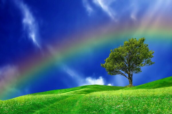 Desktop wallpapers rainbow over the field