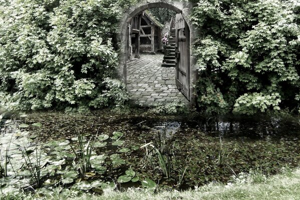 Ein Bogen im Gebüsch am geheimnisvollen Teich