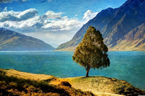 Albero vicino al lago blu