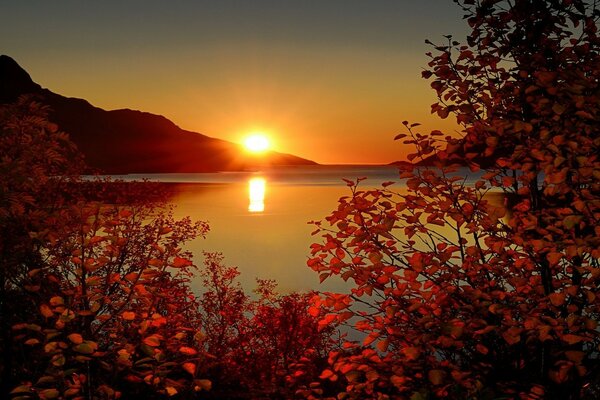 Puesta de sol naranja sobre un lago tranquilo