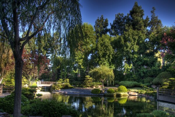 Paisaje con Jardín y estanque entre los árboles