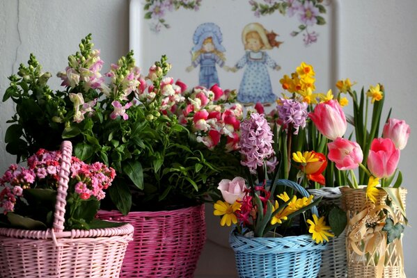 Variedad de colores de primavera para las mujeres