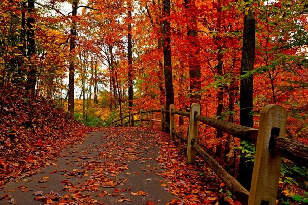 Clôture de route automne rouge