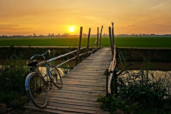 Bicicleta en medio de una cálida puesta de sol de verano