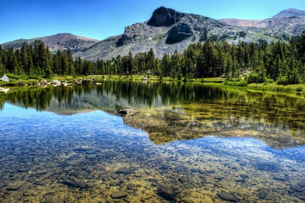 The tranquility of Yosemite National Park