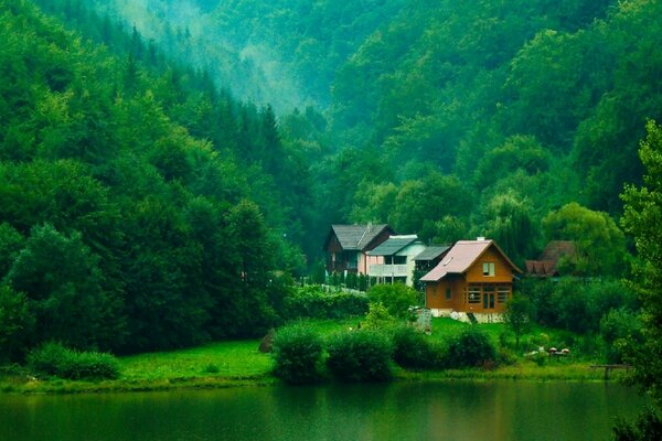 W krajobrazie las, jezioro i domy