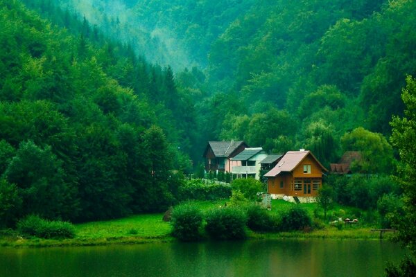 На пейзаже лес, озеро и дома