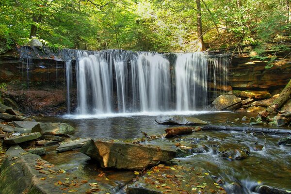 Wald Wasserfall Desktop Hintergrund