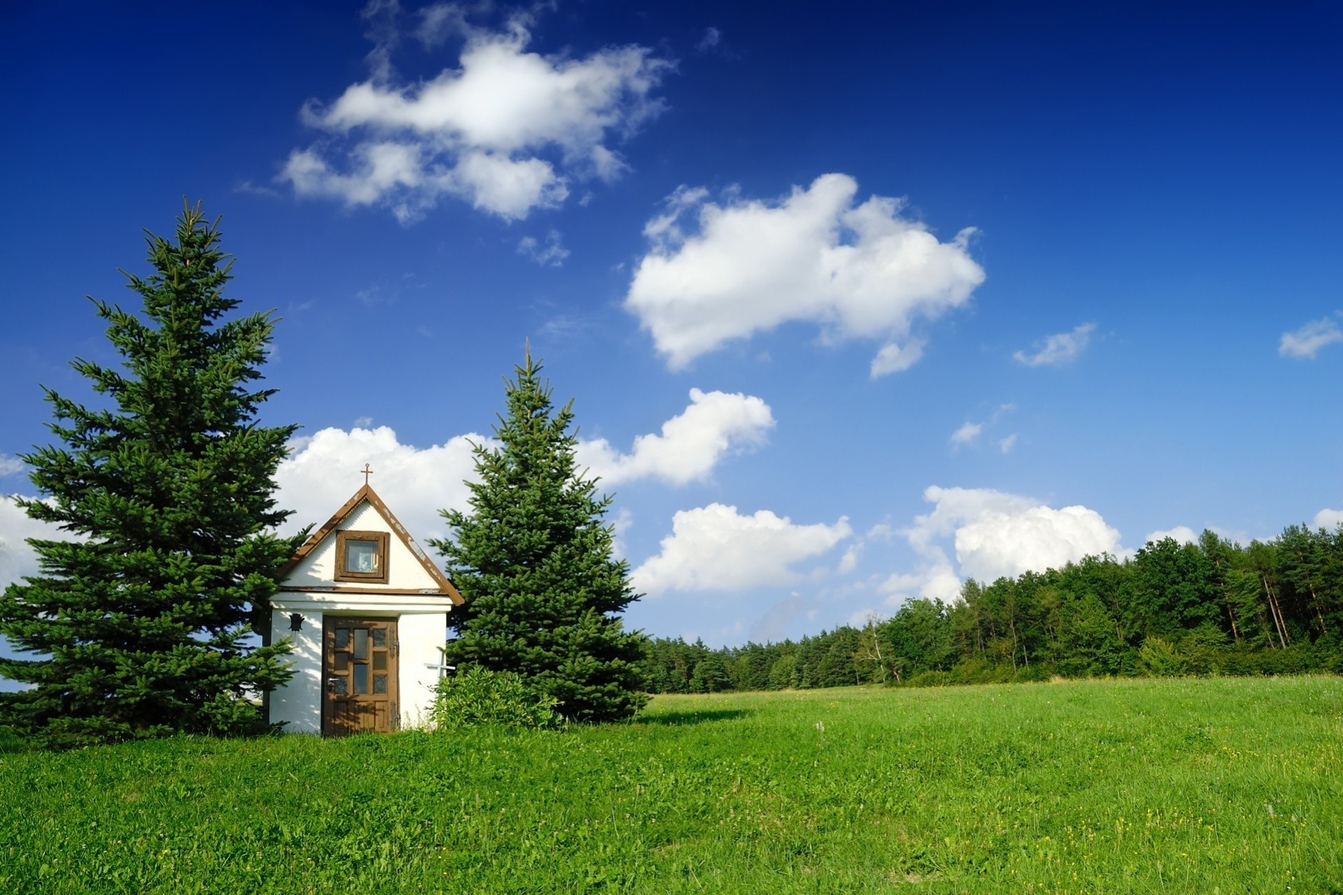 palmen menschen jungtier himmel bäume gras sommer kapelle wolken nadelbäume haus