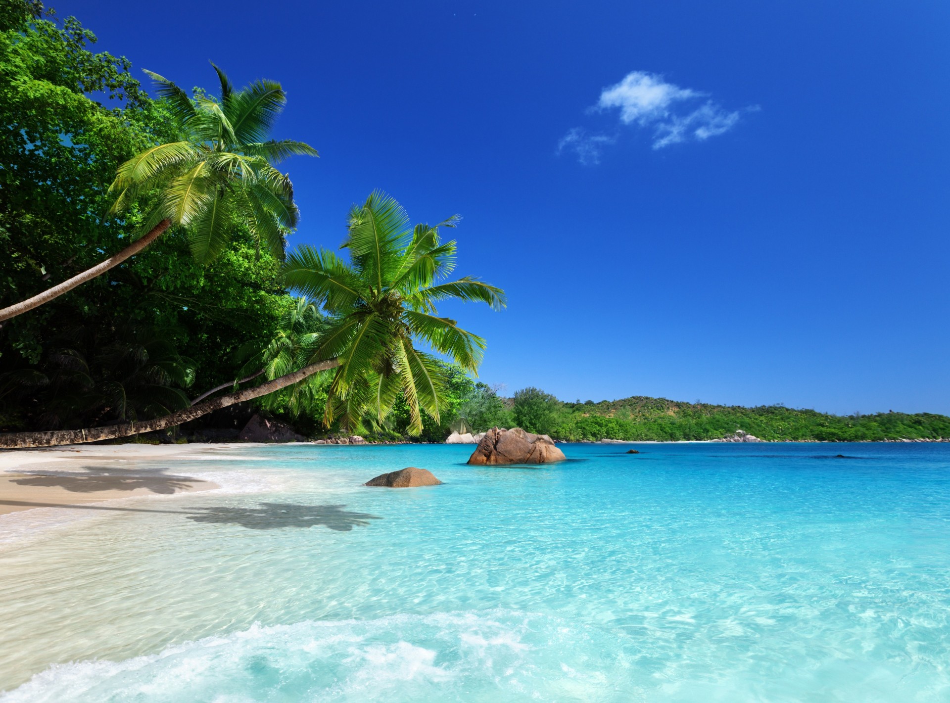 strand palmen tropen ozean ufer sonne himmel meer sand