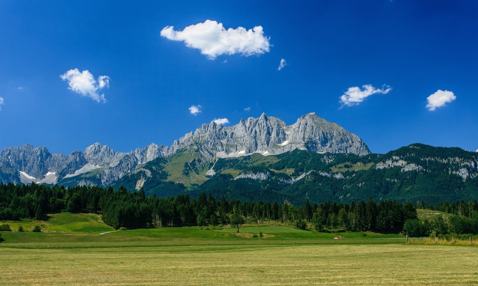 alpes bosque wilder kaiser montaña wilder kaiser hallstatt montañas austria prado