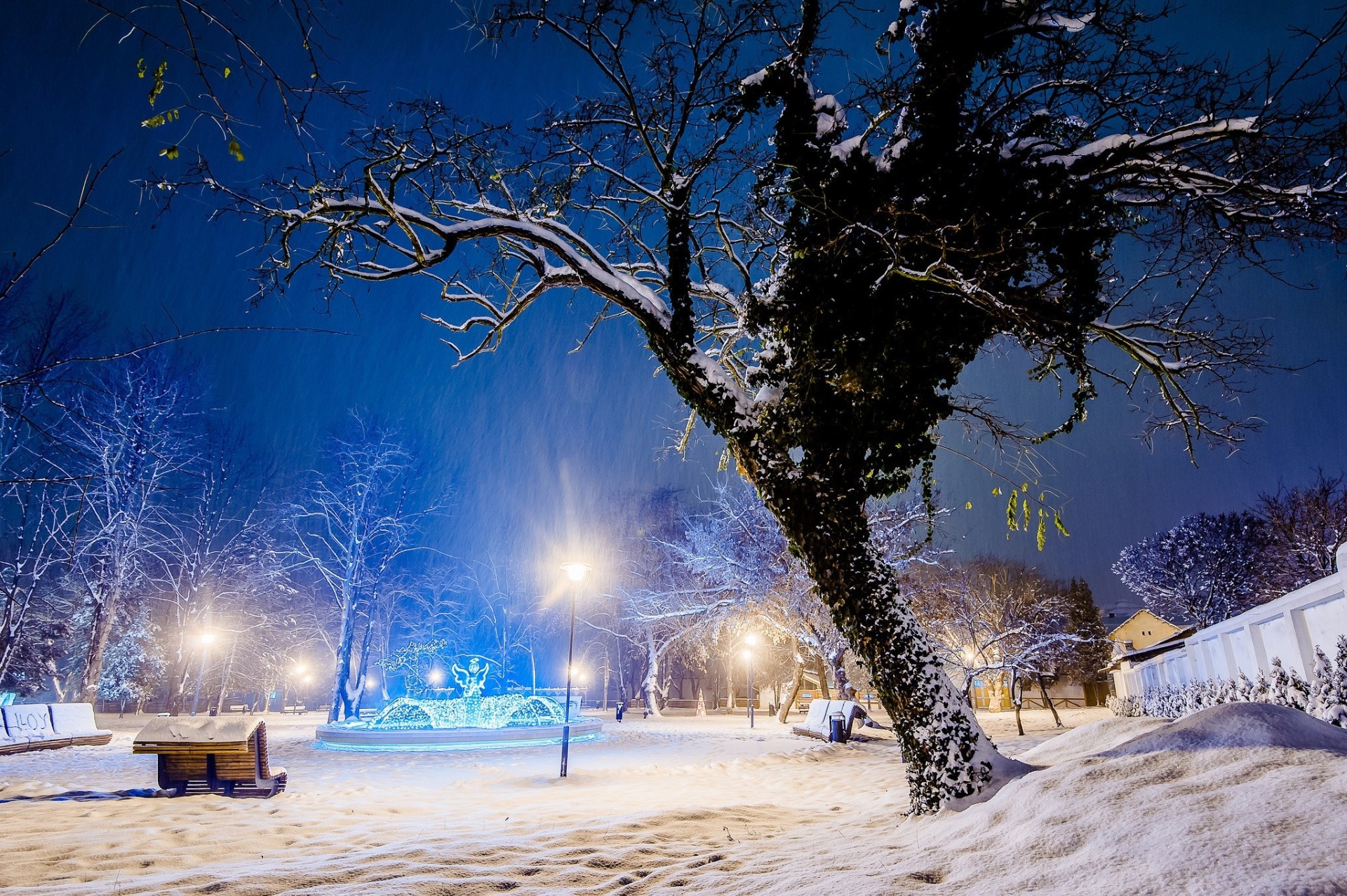 arbre boutique arbres bancs parc neige hiver lumière