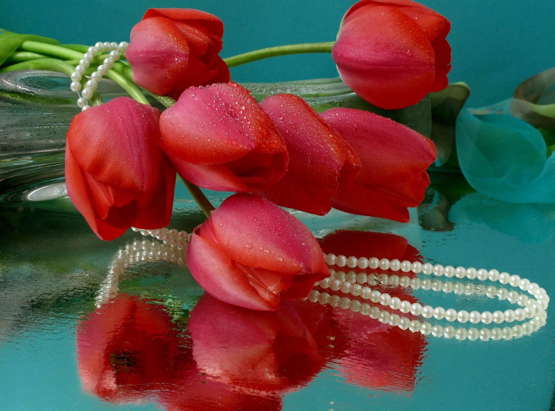 gotas reflexión florero flores agua perlas tulipanes