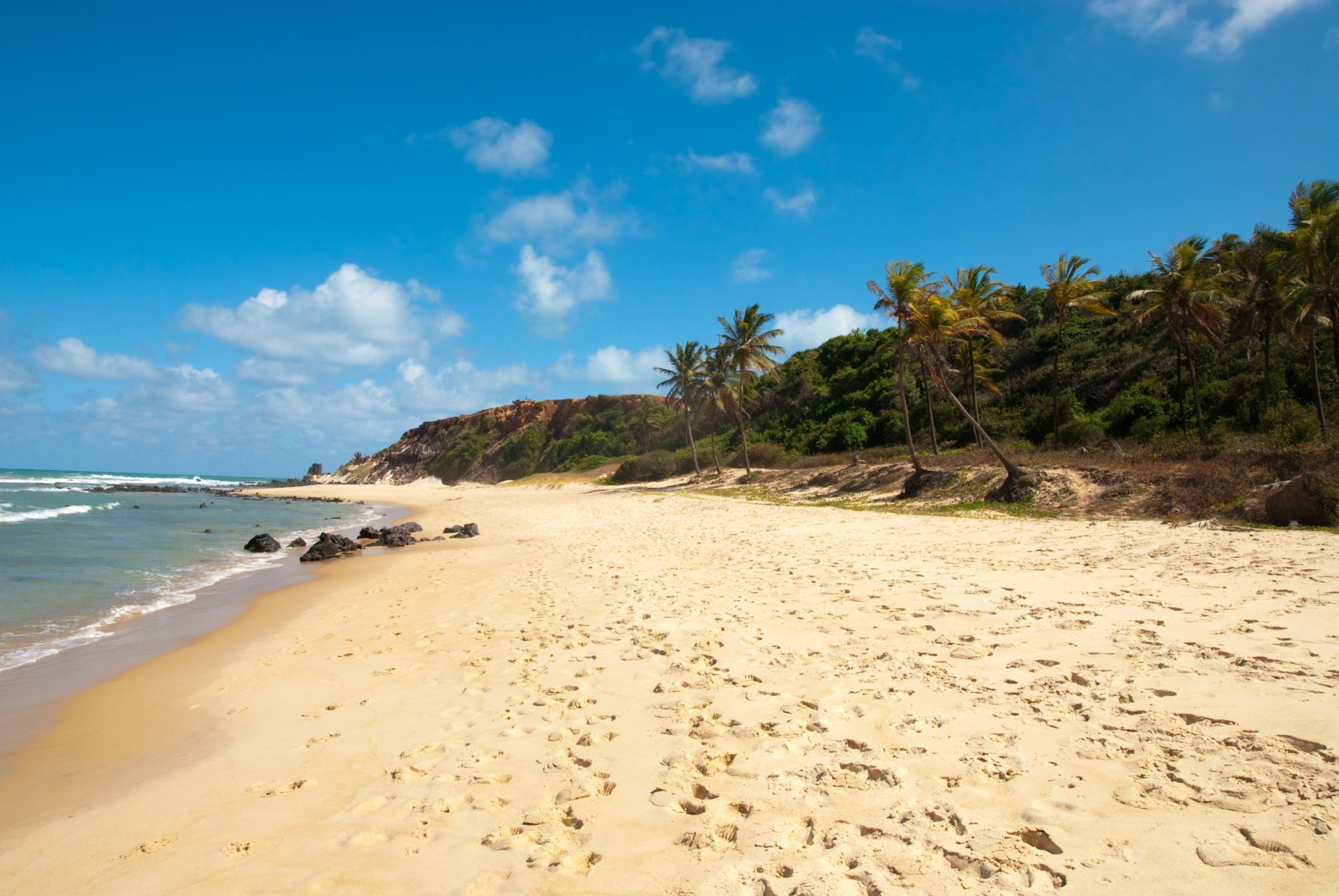 playa huellas palmeras brasil mar claro arena