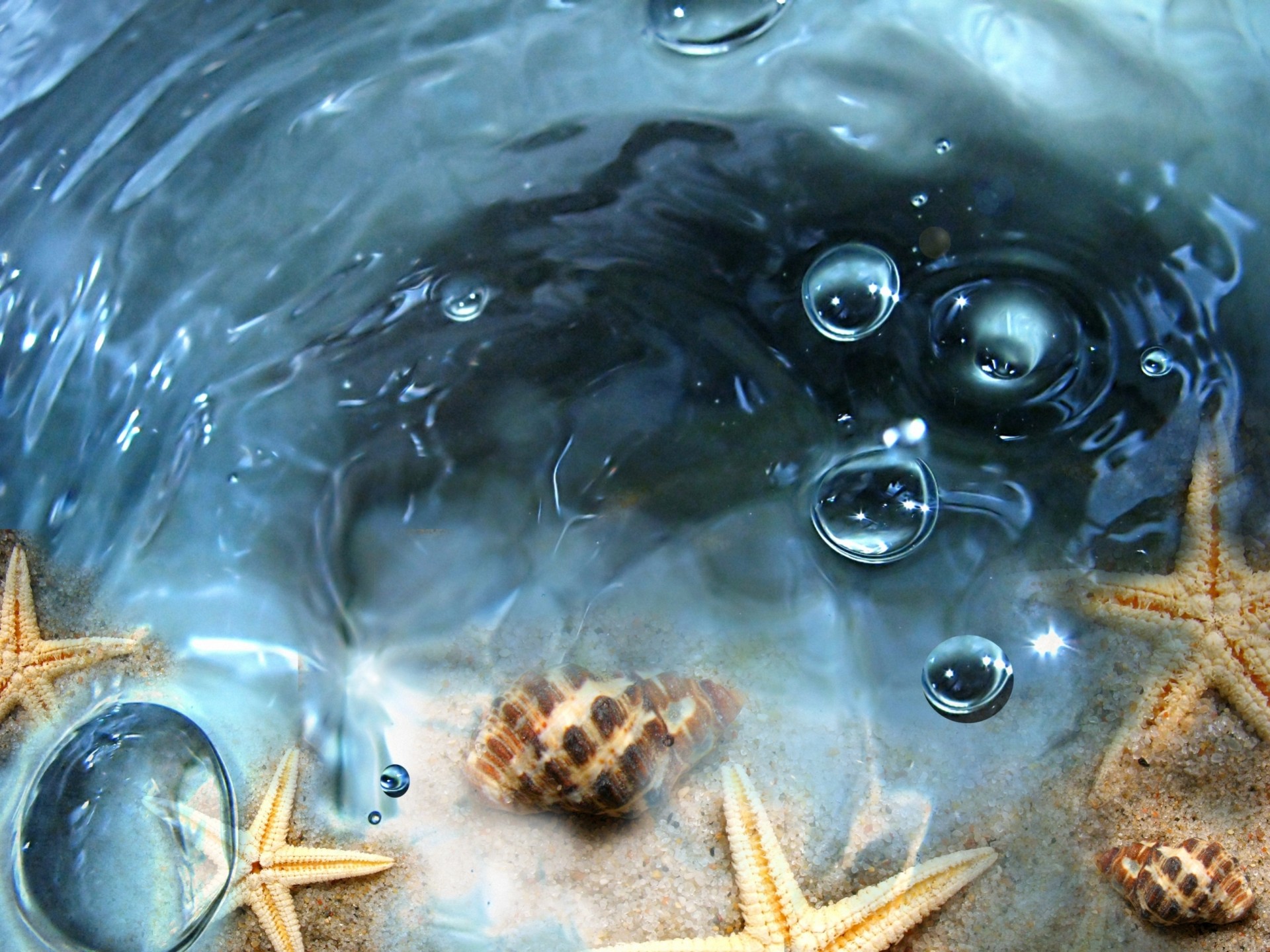 bubbles star shells transparent water