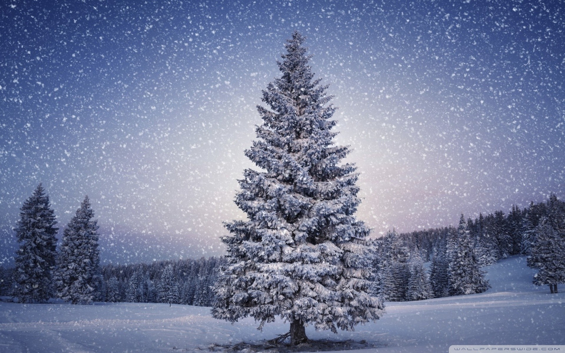 hiver conte de fées fée