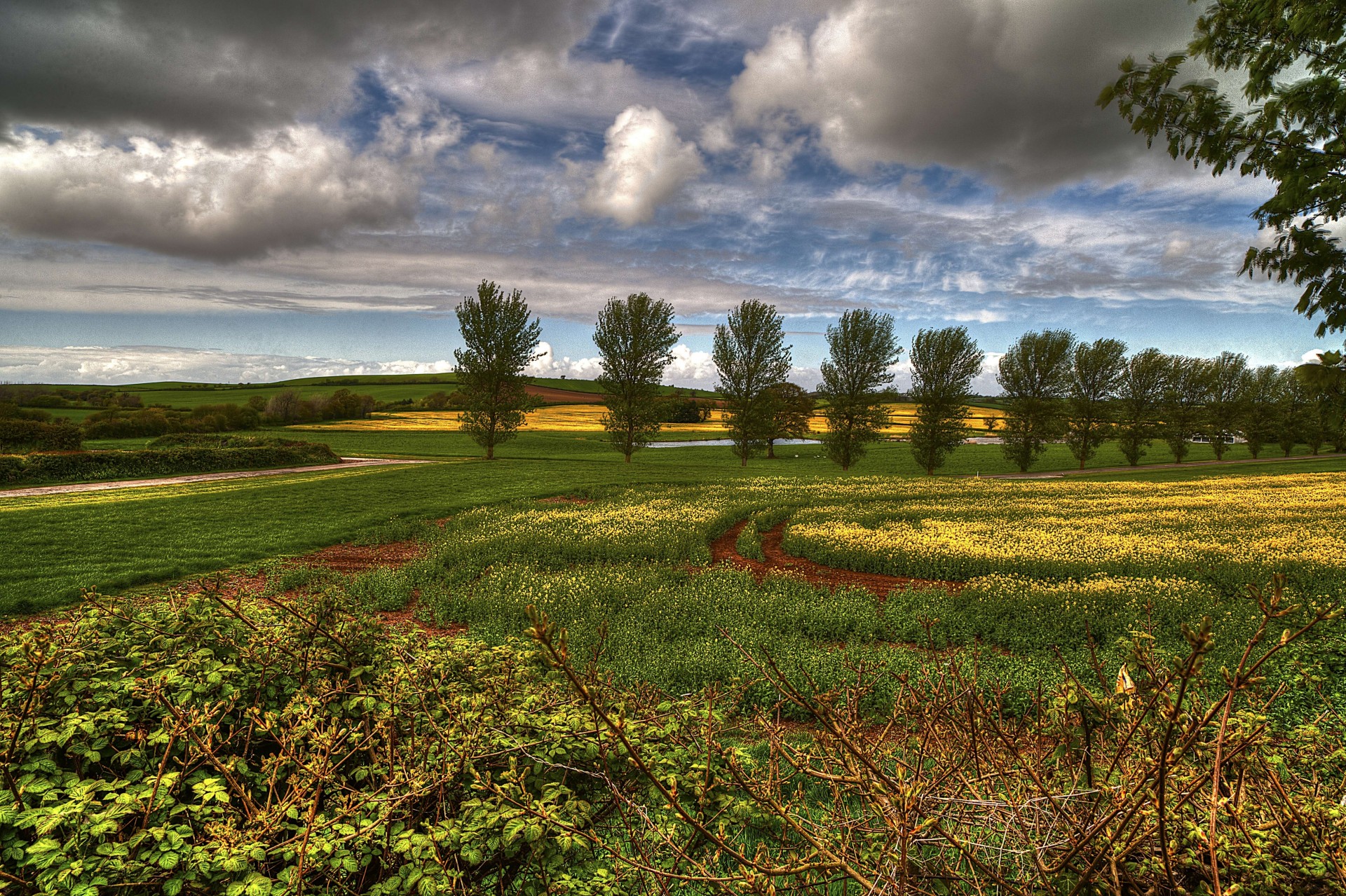 cielo cespugli nuvole fiori stagno alberi natura toscana paesaggio