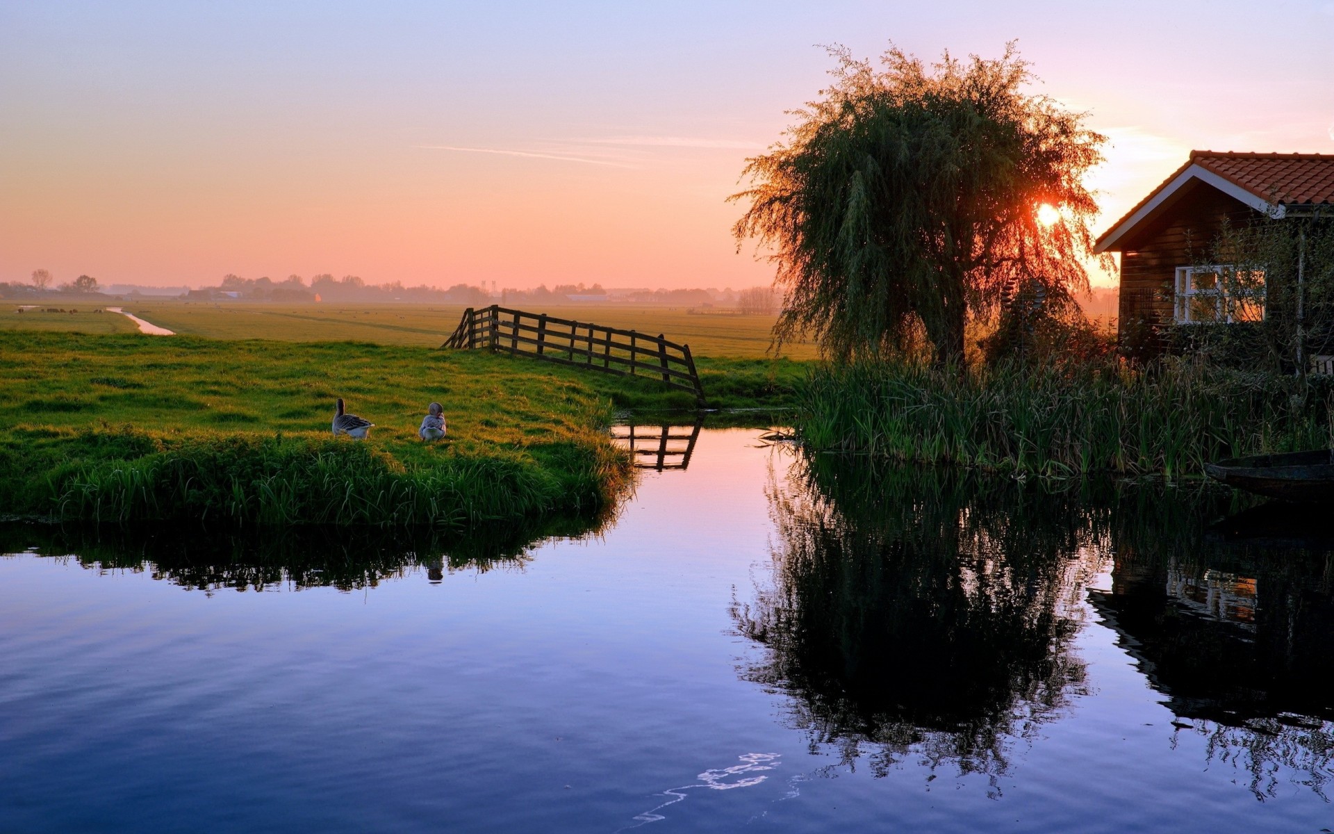 village pond ninja house sunset