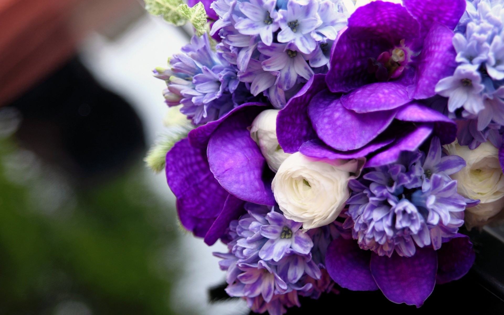 bouquet violet belle fleurs